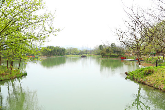 西溪濕地