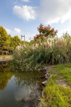 世業(yè)洲潤(rùn)揚(yáng)大橋公園茅以升公園