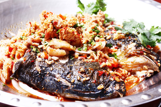 大魚(yú)頭燒魚(yú)雜