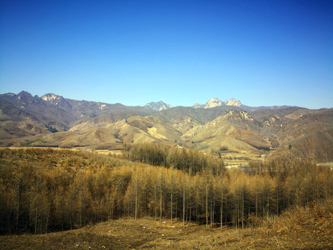 春季北方山區(qū)