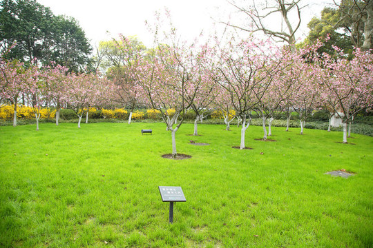 公園綠化