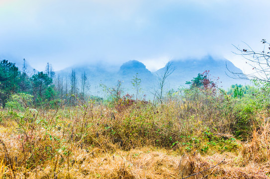 霧色山野風(fēng)光