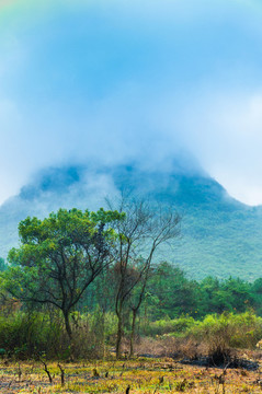 霧色山景