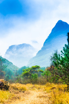 霧色山景