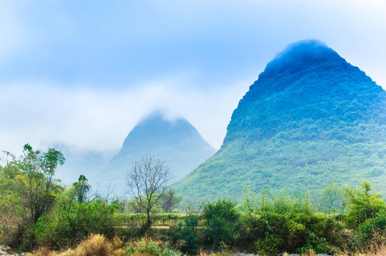 霧色山景