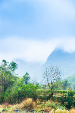 霧色山景
