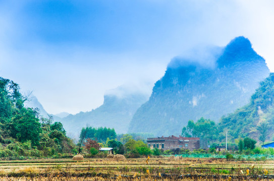 霧色山景