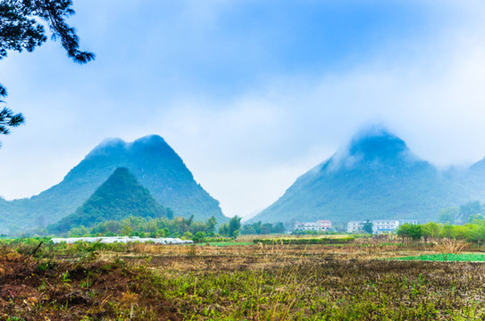 山景風光