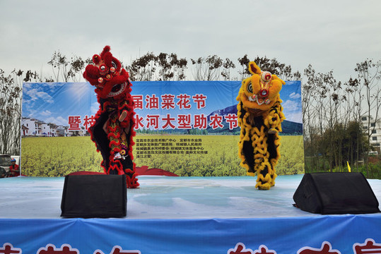 舞獅表演
