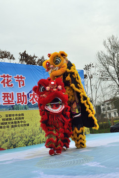 舞獅表演