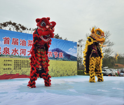 舞獅表演