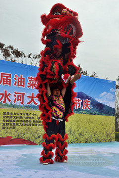舞獅表演