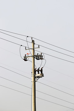 電線桿