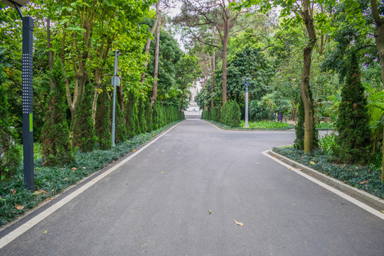 公園道路