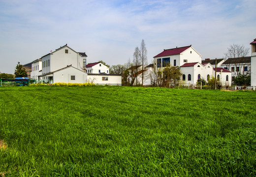 新農(nóng)村