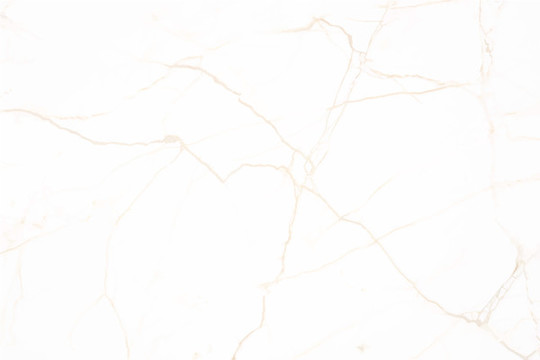 珠光白墻面大理石地板