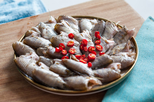羅非魚(yú)特寫(xiě)