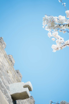 梨花古建筑