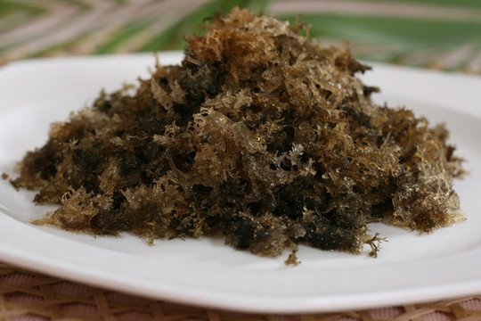 清雞湯燉竹燕窩