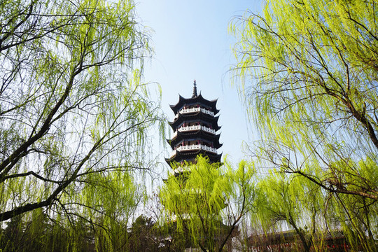 春景