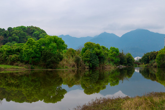 春天湖水景觀