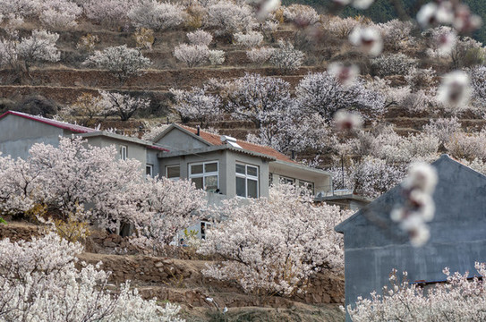山村人家