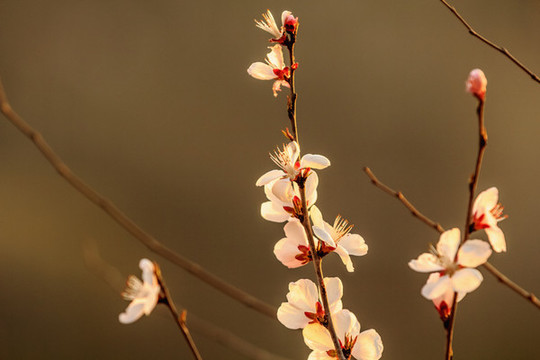 河南省輝縣萬(wàn)仙山風(fēng)景區(qū)自然風(fēng)景