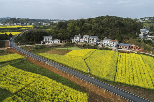 美麗的鄉(xiāng)村公路