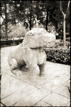 南京明孝陵獅子
