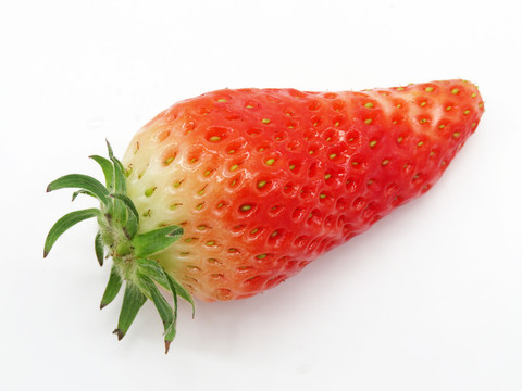 草莓
