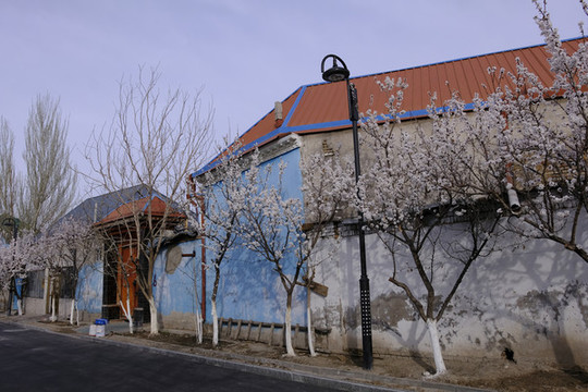 伊犁民居
