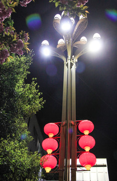 夜晚街邊玉蘭路燈