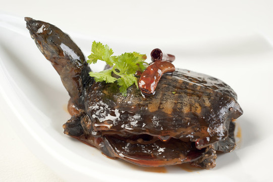 辣鹵奶甲魚