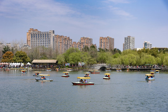 大寧公園春天