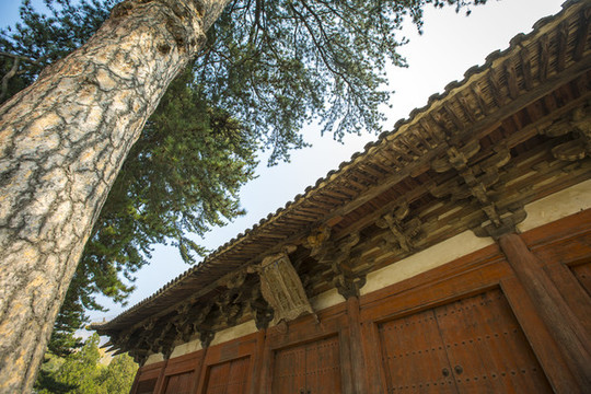 山西五臺(tái)山佛光寺