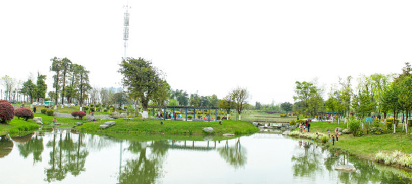 濕地公園