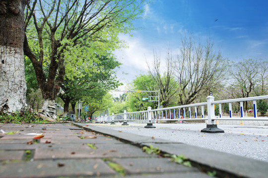 春色滿園