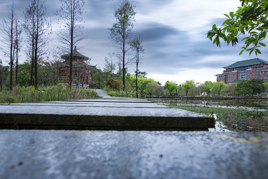 春色滿園