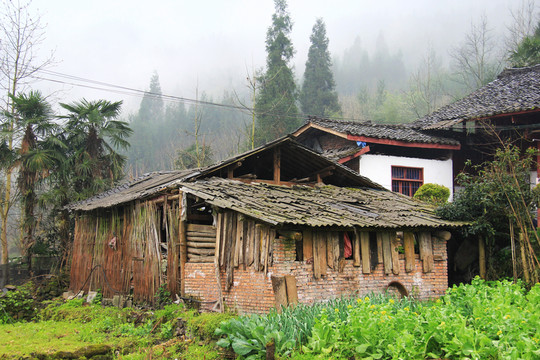 山野農(nóng)家民居