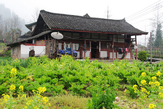 山野鄉(xiāng)村人家民居