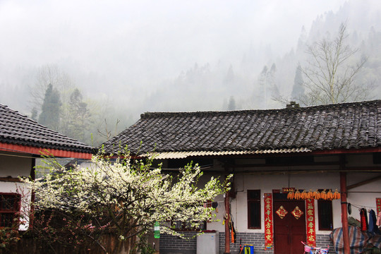 水墨鄉(xiāng)村農(nóng)家