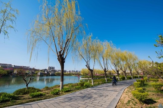 春日南陽河美景如畫