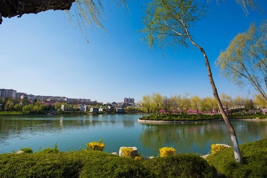 春日南陽(yáng)河美景如畫(huà)