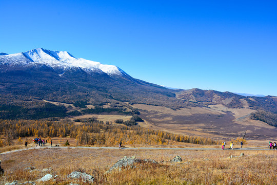 白哈巴秋日盛景