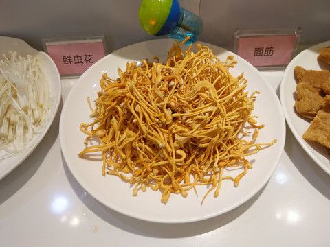 蟲草花