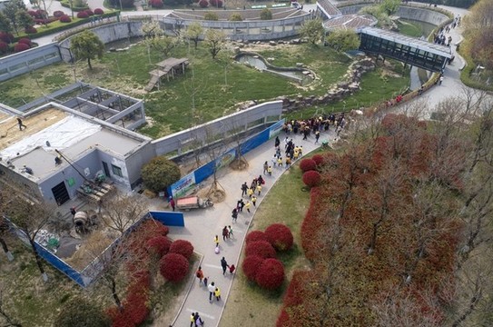 清明時節(jié)踏青忙
