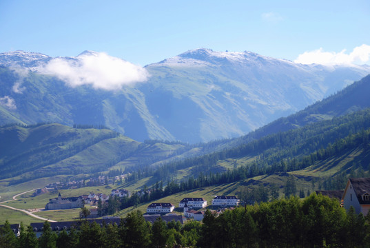 阿爾泰山的夏牧場