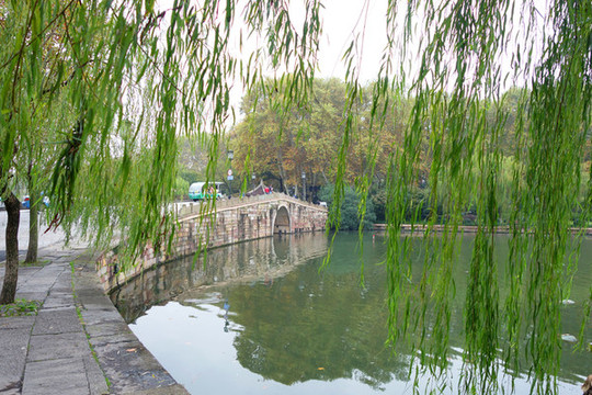西泠橋垂柳景觀