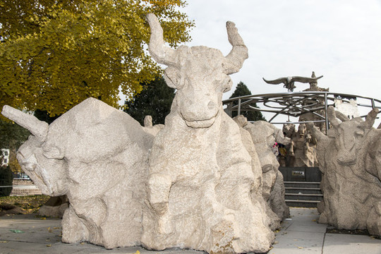蒙古牛雕塑