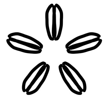 花紋圖案花符